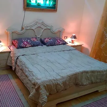 Apartment Cozy 3 Shkoder